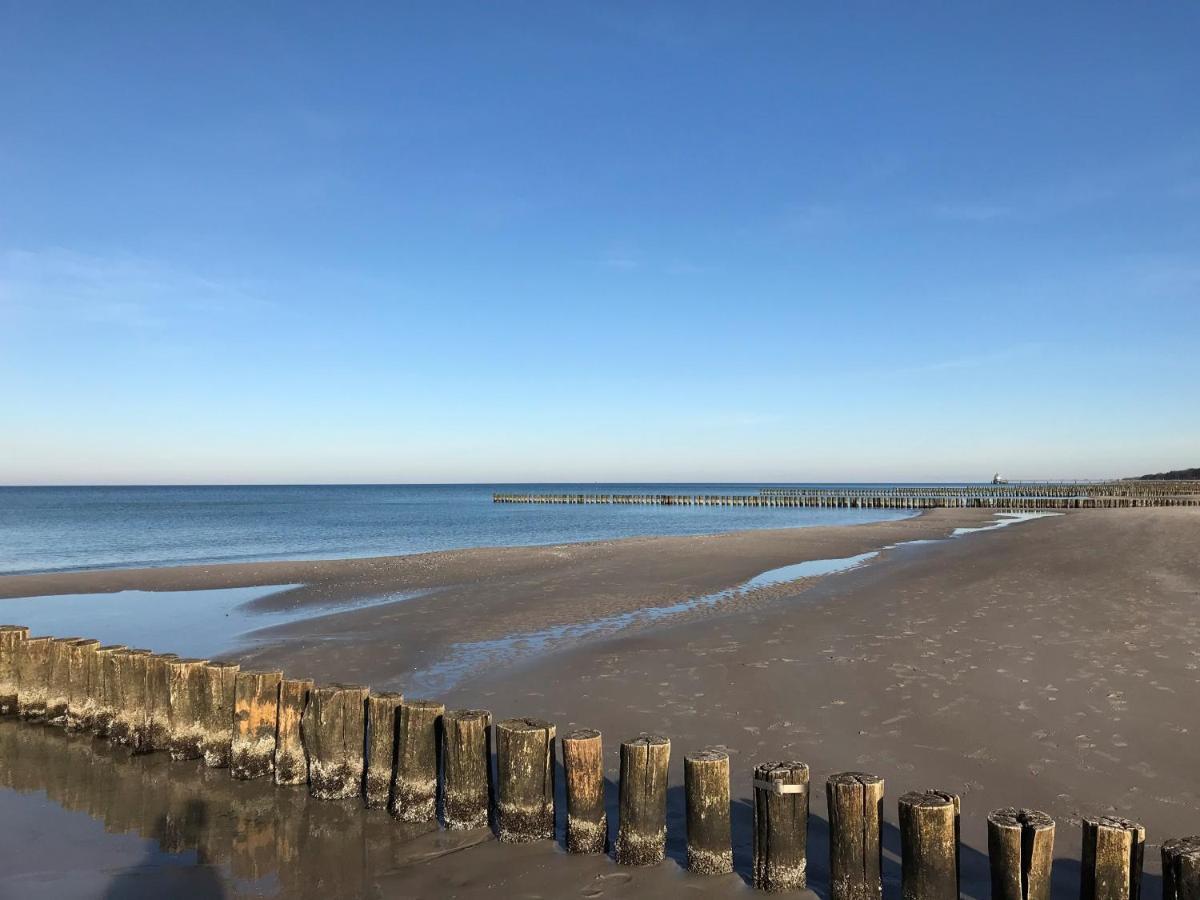 Traumhaus Unter Reet Διαμέρισμα Zingst Εξωτερικό φωτογραφία