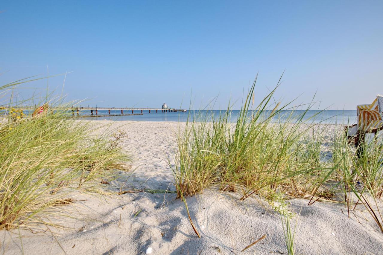 Traumhaus Unter Reet Διαμέρισμα Zingst Εξωτερικό φωτογραφία